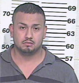 Aleman Ismael - Hidalgo County, TX 