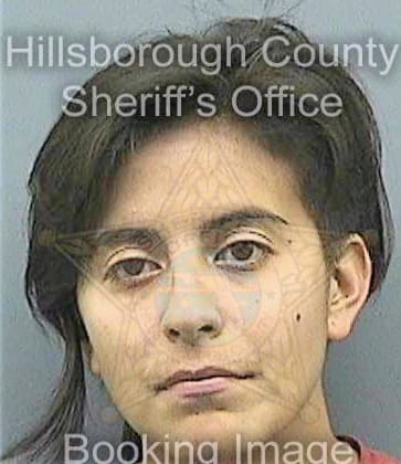 Hagodiaz Sulynn - Hillsborough County, FL 