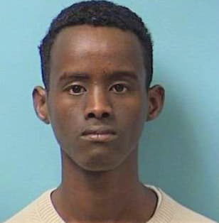 Mohamed Mohamed - Stearns County, MN 