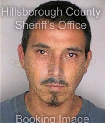 Bermudez Rolando - Hillsborough County, FL 