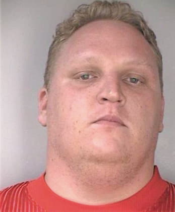 Silva William - Hillsborough County, FL 