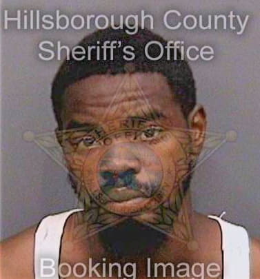 Johnson Lenard - Hillsborough County, FL 