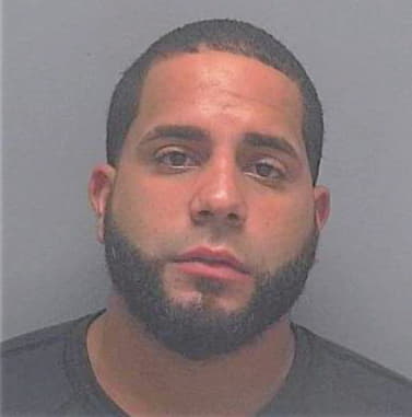 Santiago Dennes - Lee County, FL 