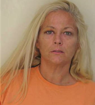 Mcinnish Allison - Hillsborough County, FL 