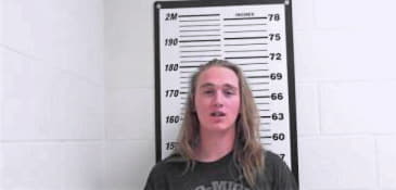 Christian David - Davis County, UT 