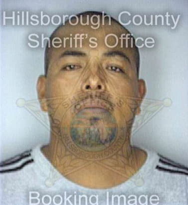 Davalos Jose - Hillsborough County, FL 