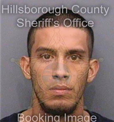 Feliciano Jose - Hillsborough County, FL 