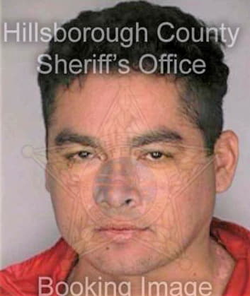 Gonzalez Higinio - Hillsborough County, FL 