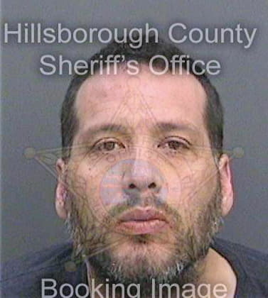 Fernandez German - Hillsborough County, FL 