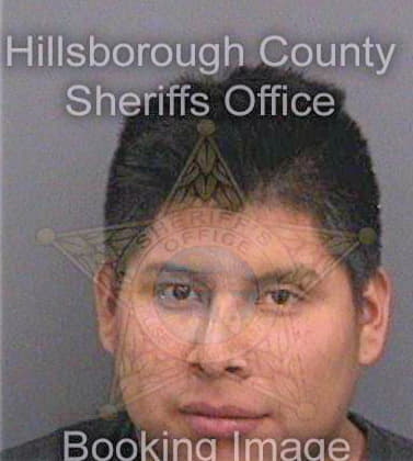 Jimenezvalencia Agustin - Hillsborough County, FL 