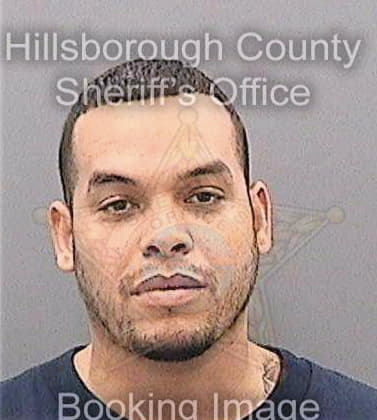 Leal Albert - Hillsborough County, FL 