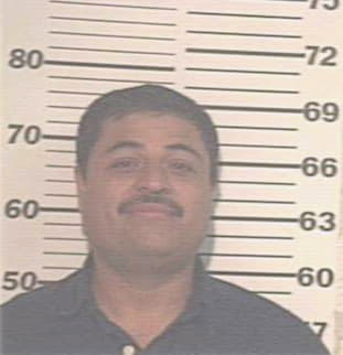 Hernandez Efrain - Hidalgo County, TX 