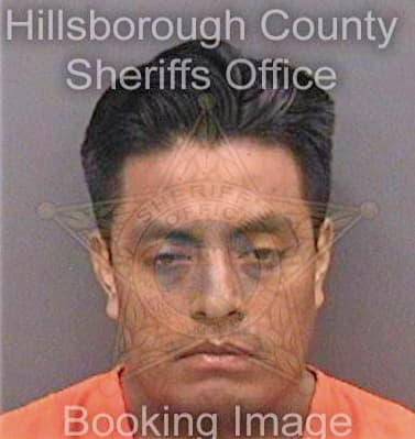 Juarezcanseco Hector - Hillsborough County, FL 