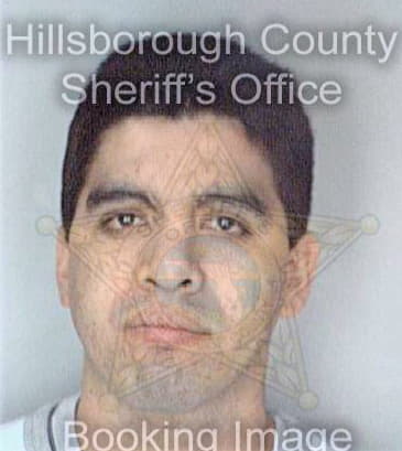 Garcia Jose - Hillsborough County, FL 