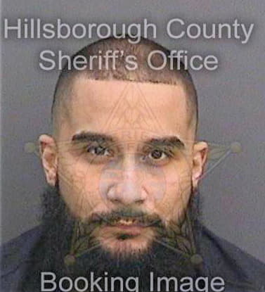 Diaz Neftali - Hillsborough County, FL 