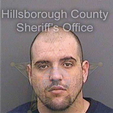 Gaston Trevor - Hillsborough County, FL 