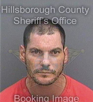 Hamlin Gary - Hillsborough County, FL 