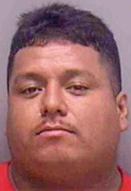 Molina Roberto - Lee County, FL 