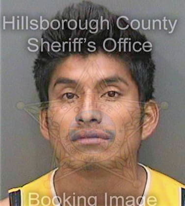 Valenciahernandez Guillermo - Hillsborough County, FL 