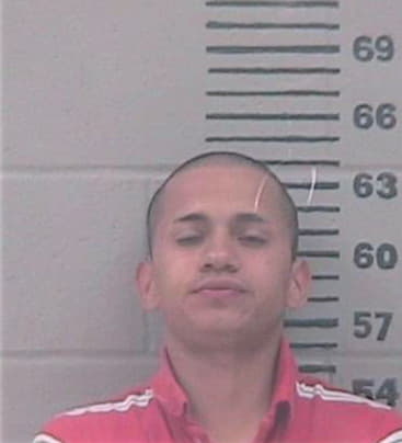 Ruiz Raul - Gillespie County, TX 