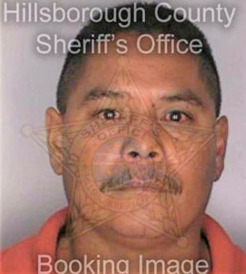 Martinez Domingo - Hillsborough County, FL 