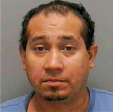 Hernandez Eliseo - Lee County, FL 