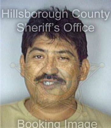 Silva Servando - Hillsborough County, FL 