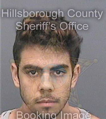 Cancel Enrique - Hillsborough County, FL 