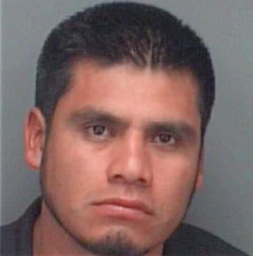 Hernandez Modesto - Pinellas County, FL 