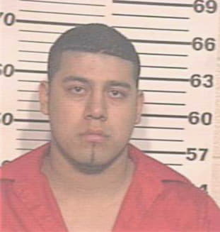 Hernandez Herman - Hidalgo County, TX 