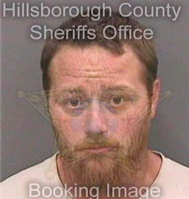 Metheny David - Hillsborough County, FL 