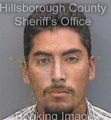 Hurtado Gerardo - Hillsborough County, FL 