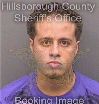 Gonzalez David - Hillsborough County, FL 