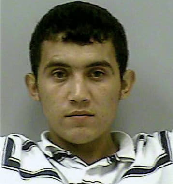 Velazquez Ismael - Gwinnett County, GA 