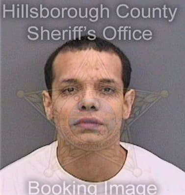 Perezrodriguez Axel - Hillsborough County, FL 