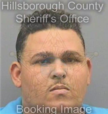 Vegasanchez Jose - Hillsborough County, FL 