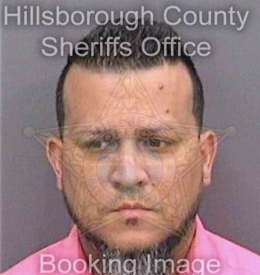 Burgos Luis - Hillsborough County, FL 