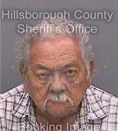 Pineda Braulio - Hillsborough County, FL 