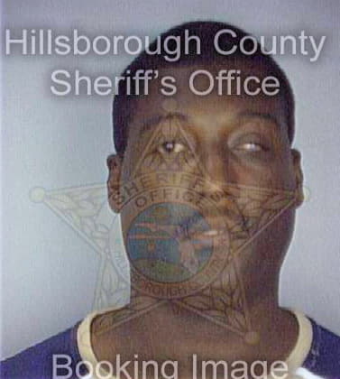 Solomon David - Hillsborough County, FL 