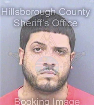 Oliverasirizarry Joseph - Hillsborough County, FL 