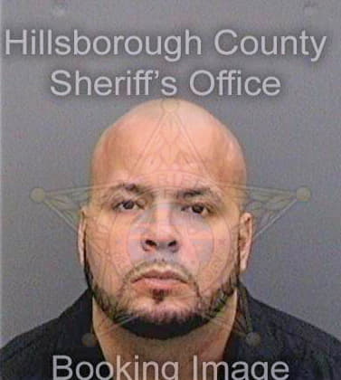 Feliciano Sherwin - Hillsborough County, FL 