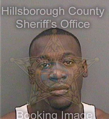 Freeman Bivinsky - Hillsborough County, FL 