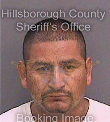 Becerra Efrain - Hillsborough County, FL 