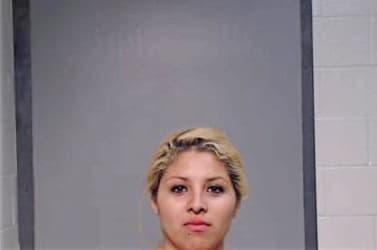 Hernandez Vanessa - Hidalgo County, TX 