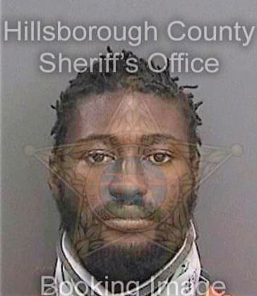 Mcdowell Gerald - Hillsborough County, FL 