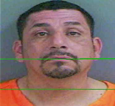 Trevino Lucio - Collier County, FL 