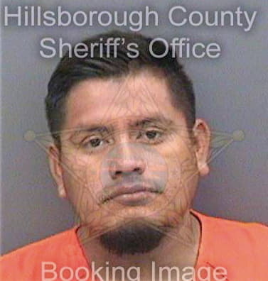 Leyva-Hernandez Jose - Hillsborough County, FL 