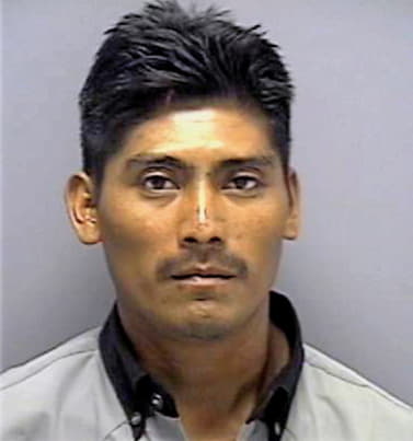 Lopez Domingo - Lee County, FL 