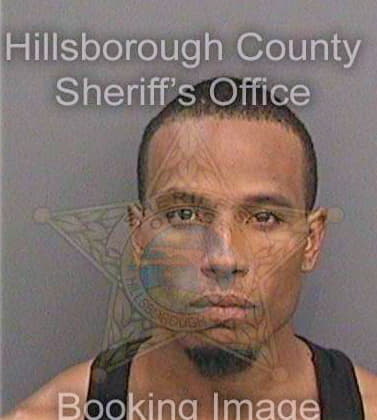 Pierson John - Hillsborough County, FL 