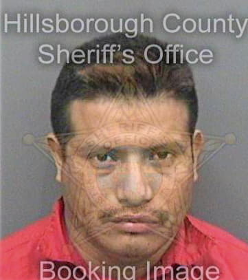 Mejiaroblero Ciro - Hillsborough County, FL 